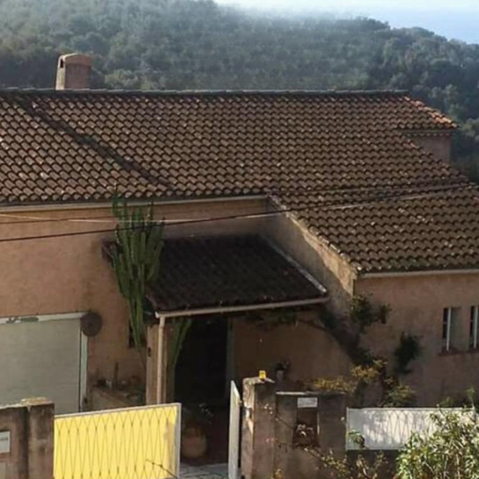 Left Image